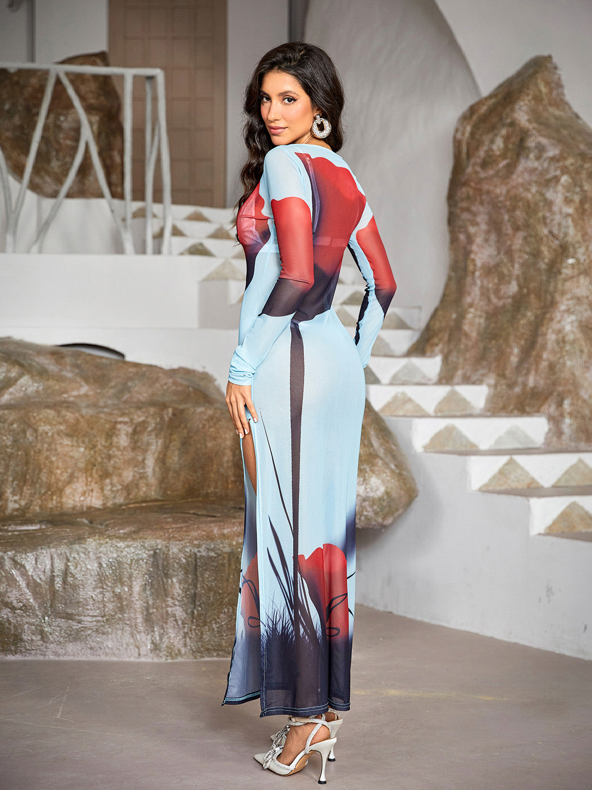 Annelore Long Sleeve Rose Printed Maxi Dress