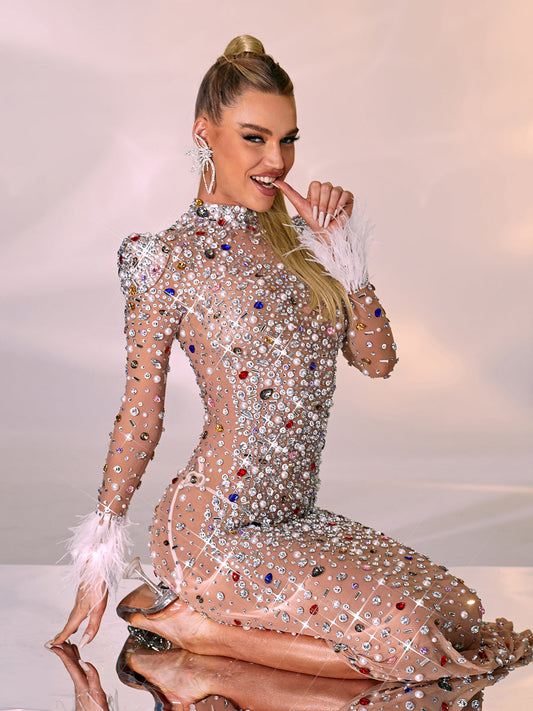 Celia Long Sleeve Embellished Feather Maxi Dress