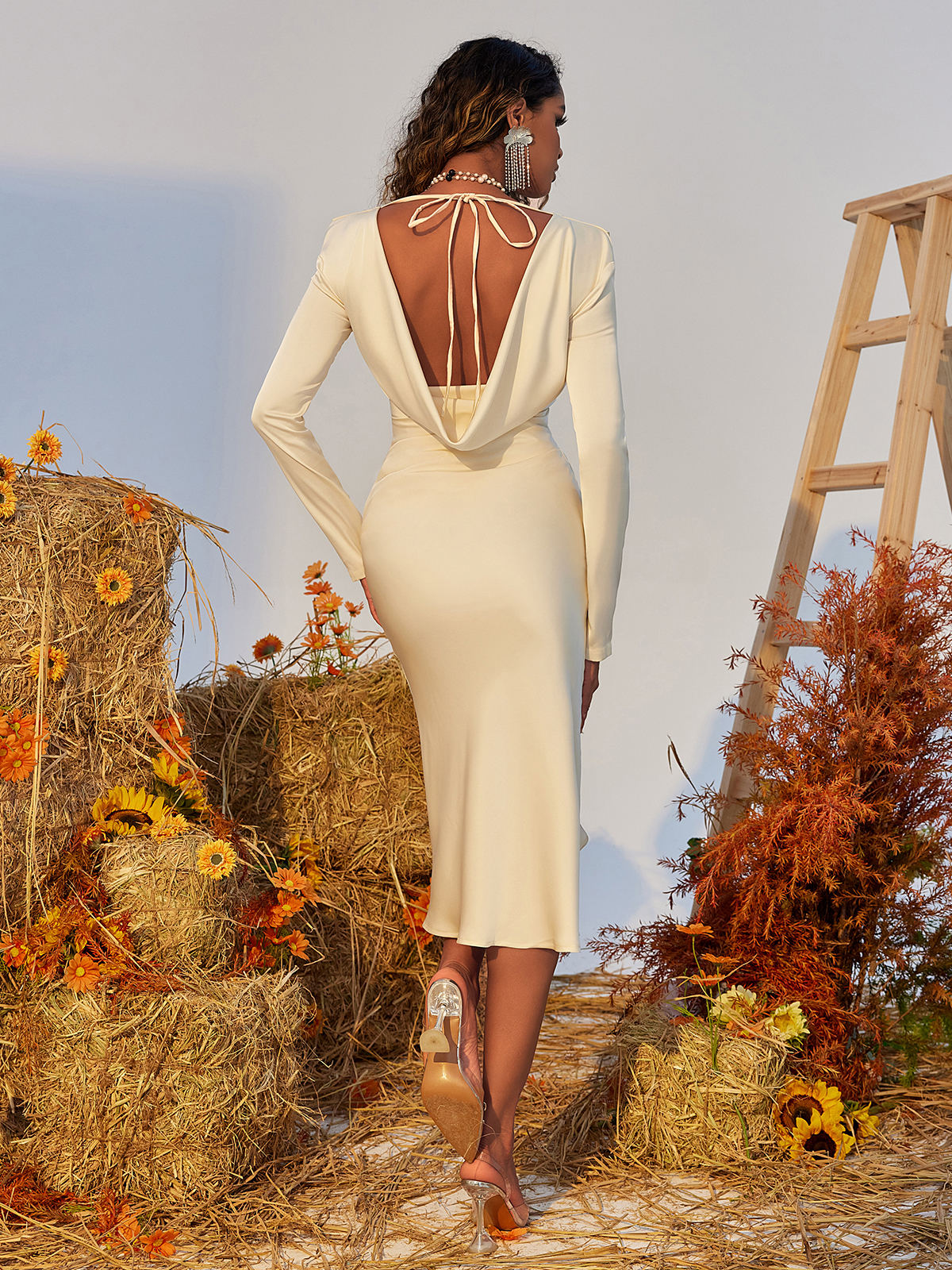 Lalia Backless Long Sleeve Satin Dress