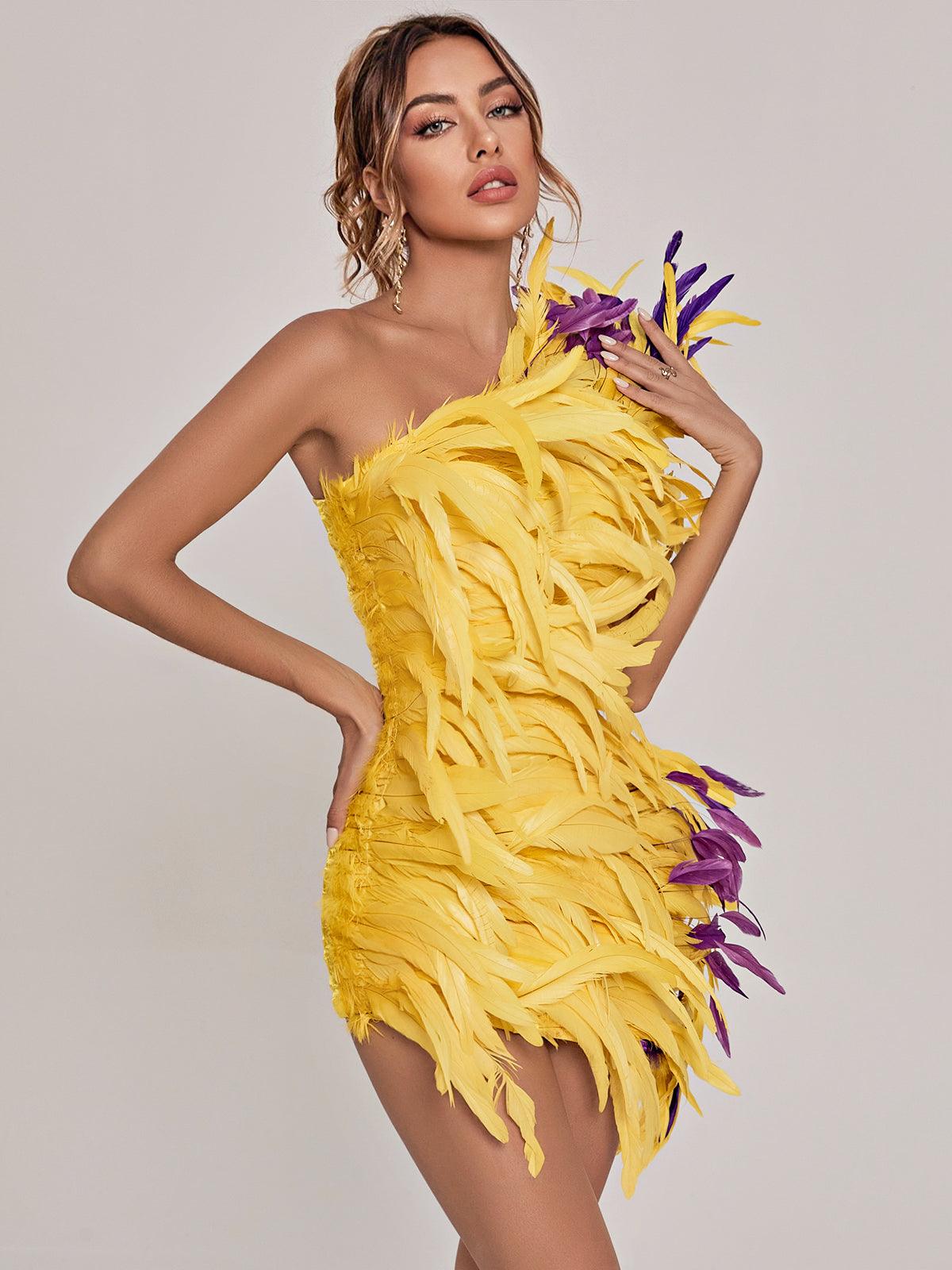 Paislee Asymmetric Feather Mini Dress - Mew Mews Fashion