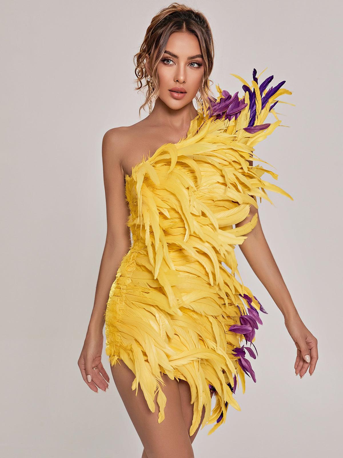 Paislee Asymmetric Feather Mini Dress - Mew Mews Fashion