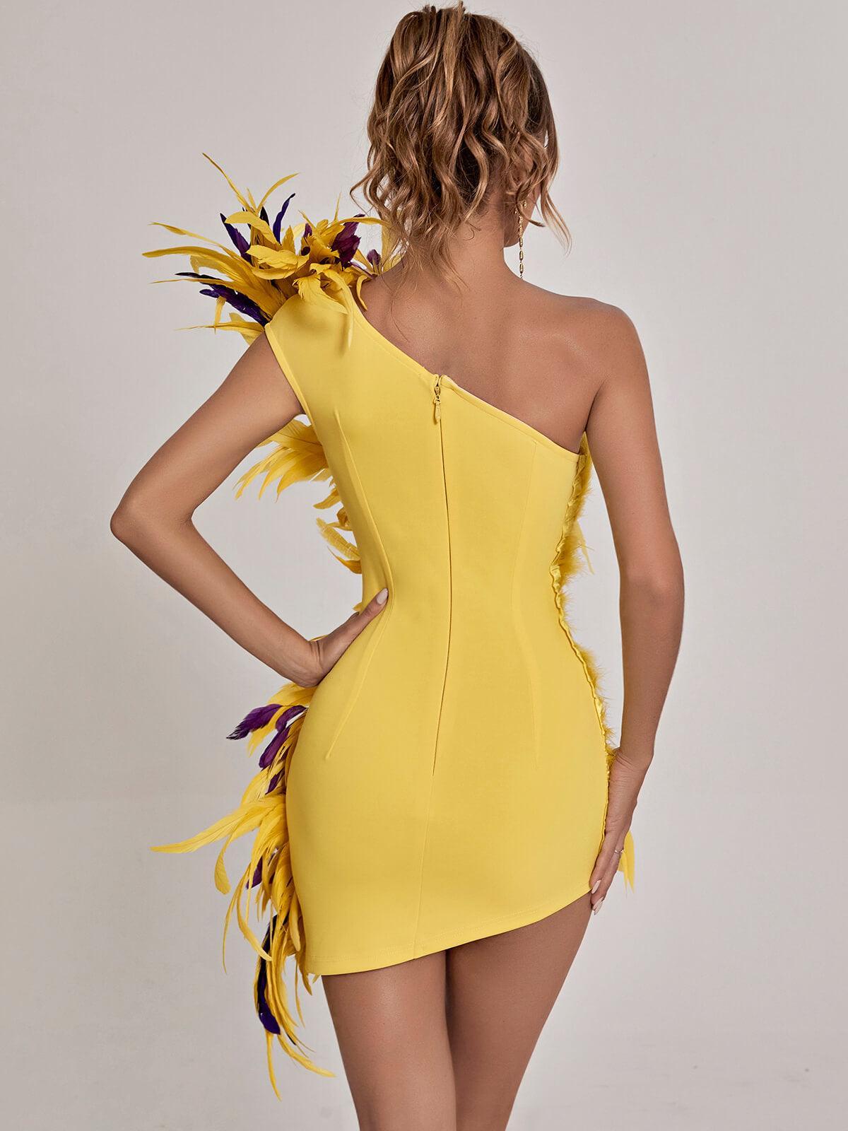 Paislee Asymmetric Feather Mini Dress - Mew Mews Fashion