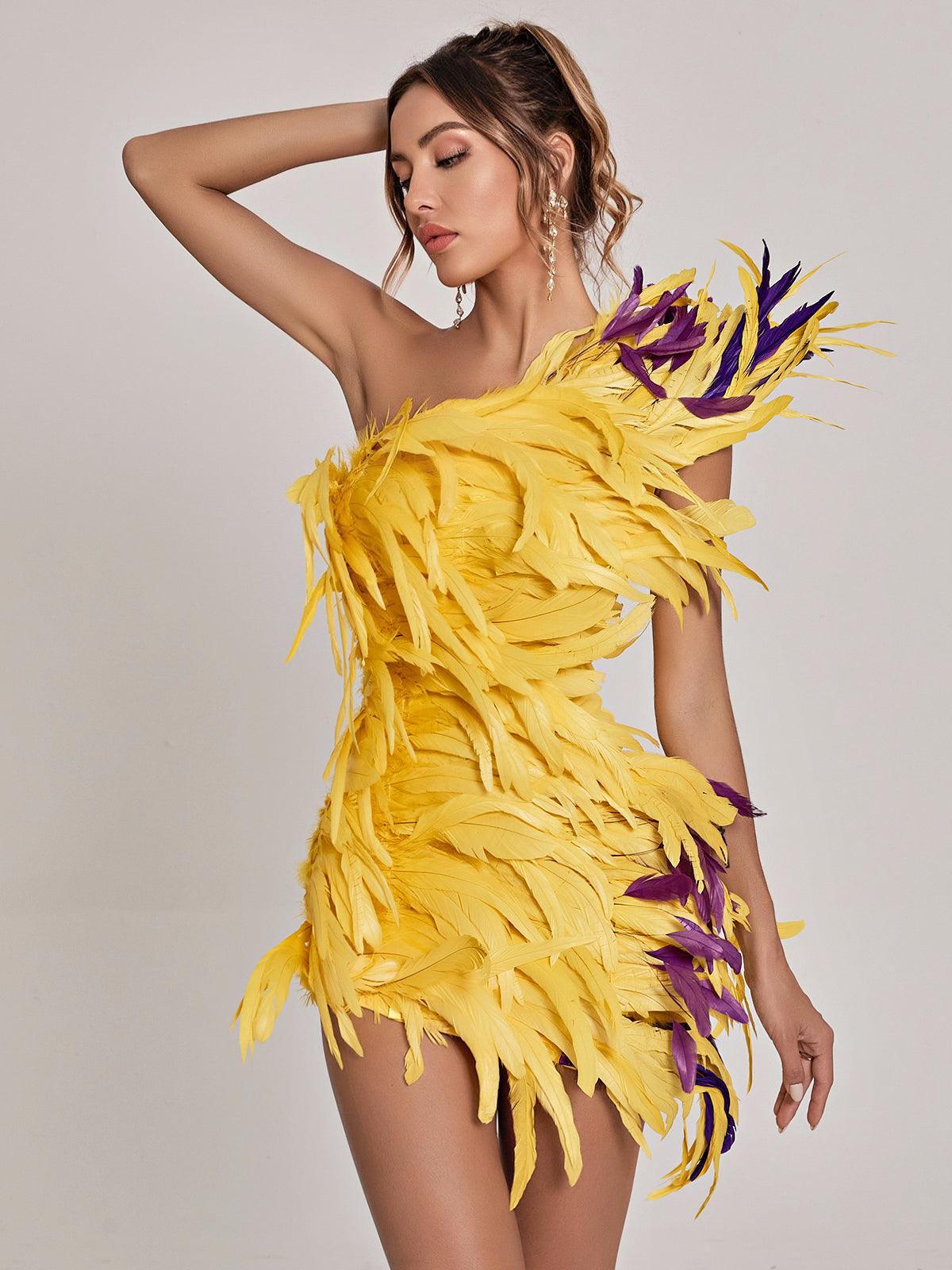 Paislee Asymmetric Feather Mini Dress - Mew Mews Fashion
